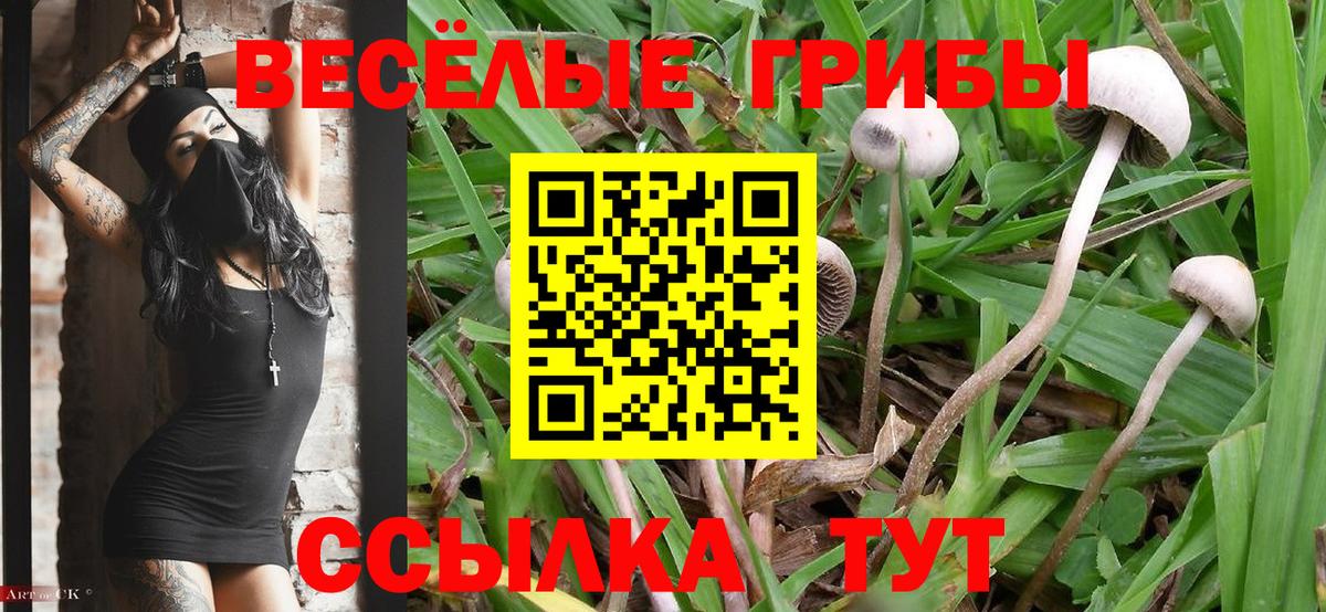 Псилоцибиновые грибы мицелий  Вход с VPN  Павловский Посад 