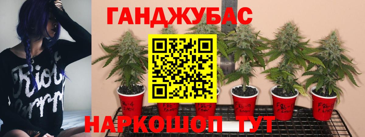 Бошки Шишки семена  Вход с VPN  Конопля планчик  Павловский Посад 